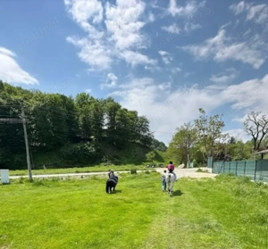 Teren intravilan Costești (Fieni) Dâmbovița  - imagine 9