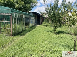 Vanzare casa in Ciugud 1800 mp teren - imagine 15