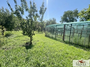 Vanzare casa in Ciugud 1800 mp teren - imagine 14