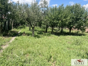 Vanzare casa in Ciugud 1800 mp teren - imagine 17