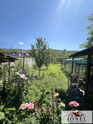 Vanzare casa in Ciugud 1800 mp teren - imagine 16