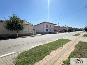 Vanzare casa in Ciugud 1800 mp teren - imagine 20