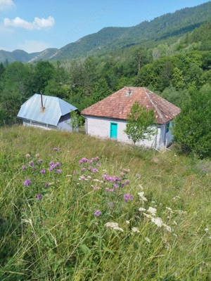 Vand casa si teren Vadu Oii, Gura Teghii