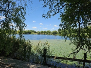 Casa cu teren deschidere directa la lac Corbeanca - imagine 7