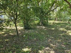 Casa cu teren deschidere directa la lac Corbeanca - imagine 4