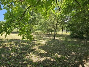 Casa cu teren deschidere directa la lac Corbeanca - imagine 3