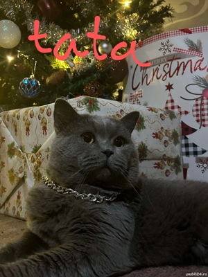 minuni jucause - imagine 4