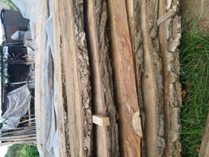 Vand dulap nuc si tei