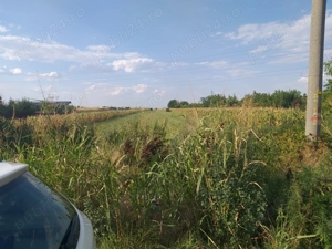 Teren de vanzare oras Giurgiu,jud.Giurgiu - imagine 7