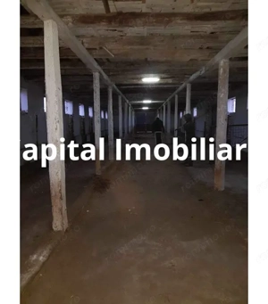 Ferma langa Oravita 5600 mp construiti si teren 24281 intravilan - imagine 6