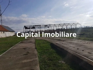 Ferma langa Oravita 5600 mp construiti si teren 24281 intravilan - imagine 9