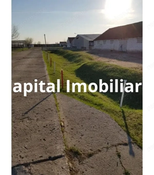 Ferma langa Oravita 5600 mp construiti si teren 24281 intravilan - imagine 10