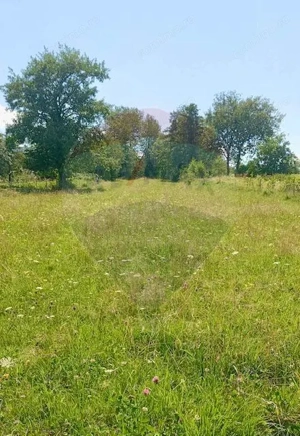 Teren 1,915mp Breb / Drumul Principal - imagine 3