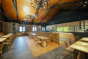 Hotel-Spa-Restaurant nou de Vânzare, 26 Camere, în Padiș, - imagine 18