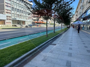 Oportunitate unică de afacere – Fast-food de vânzare în Bacau