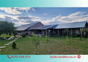 Un colt de rai pe-un picior de plai! CE1210 - imagine 2