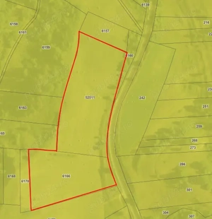 Teren extravilan 3ha in comuna Saschiz - imagine 2
