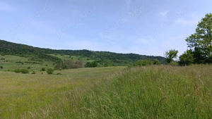 Teren extravilan 3ha in comuna Saschiz - imagine 3