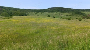 Teren extravilan 3ha in comuna Saschiz - imagine 4