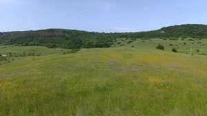 Teren extravilan 3ha in comuna Saschiz - imagine 5