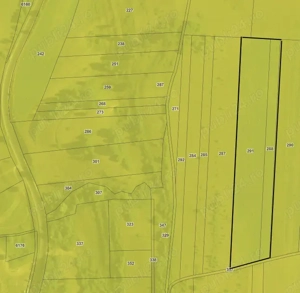 Teren extravilan 2 ha in comuna Saschiz Mures - imagine 2