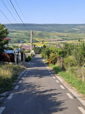 Persoana fizica - teren intravilan Tomesti Iasi