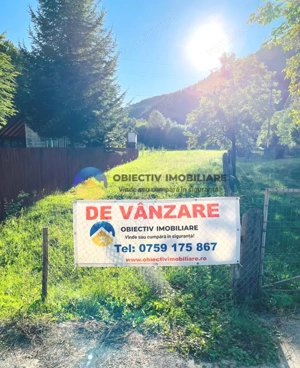 TEREN intravilan   8.000 mp TARCAU