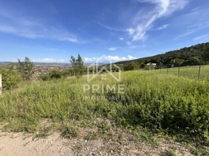 TEREN INTRAVILAN 972 MP, ALBA MICESTI