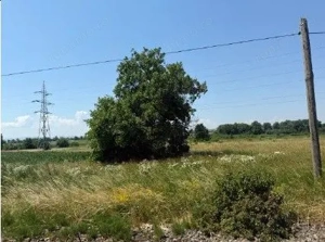 Teren Horodnic de Sus, cota parte 25/104, ID: R2660174 - imagine 7