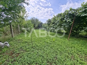 Casa individuala de vanzare - Gh. Asachi 531 teren acces auto - Sibiu - imagine 14