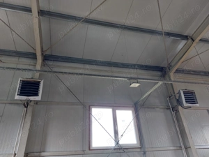 Hala 172 mp + teren 968 mp - imagine 5