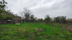 Teren Boldu, jud Buzau, pentru casa cu vie și pomi fructiferi - imagine 7