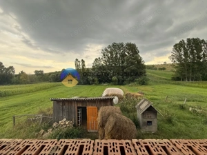 Casa de vanzare - GHINDAOANI 