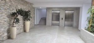 Particular vand ap 2 cam Hils Pallady - imagine 3