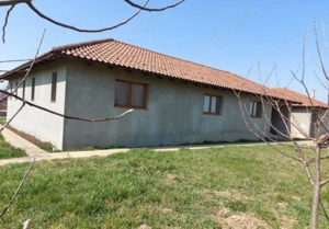 Casă spațioasă de vânzare în Peciu Nou  - imagine 2