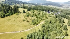 Teren intravilan Dorna Arini ( Cozanesti)