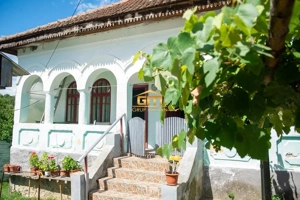 Casă cu teren 3800 mp,situată in com. Berislăvesti
