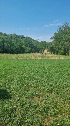 Casă cu teren 3800 mp,situată in com. Berislăvesti - imagine 11