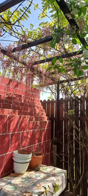 Particular vand casa Adunatii Copaceni  - imagine 8