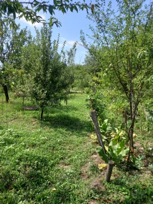 vand casa si teren,acte la zi,apa,lumina,gaze,put - imagine 4