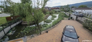 Vand casa in Micesti - imagine 4