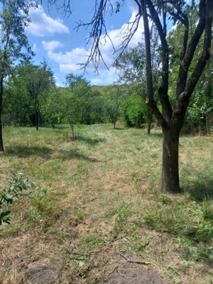 vand casa si teren,acte la zi,apa,lumina,gaze,put - imagine 9