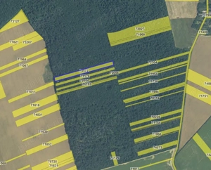 Pădure de Vânzare 1,5 ha Bolovani, Dâmbovița - imagine 2