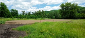 Vând teren extravilan,zona buna ,preț negociabil.