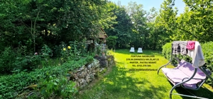 Proprietate la 5 km de oras- Vila P+1 + 5600 mp teren - imagine 4