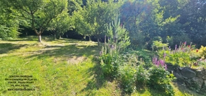 Proprietate la 5 km de oras- Vila P+1 + 5600 mp teren