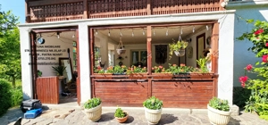 Proprietate la 5 km de oras- Vila P+1 + 5600 mp teren - imagine 3