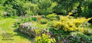 Proprietate la 5 km de oras- Vila P+1 + 5600 mp teren - imagine 5