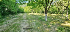 Proprietate la 5 km de oras- Vila P+1 + 5600 mp teren - imagine 9