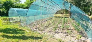 Proprietate la 5 km de oras- Vila P+1 + 5600 mp teren - imagine 7